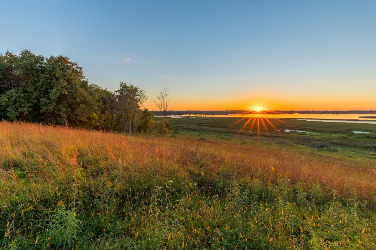 Sunset over a wetland